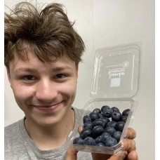 BLUEBERRIES - 125 Gram Punnet 